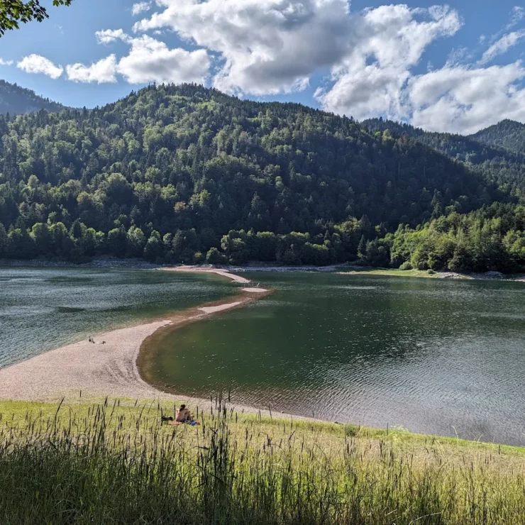 Découvrir le lac de Kruth : un écrin naturel été comme hiver