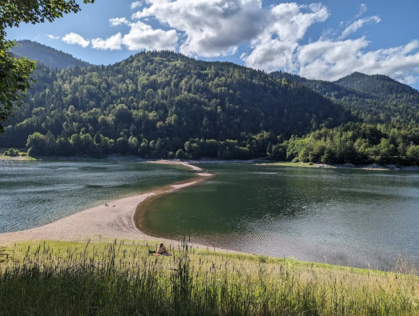 Découvrir le lac de Kruth : un écrin naturel été comme hiver