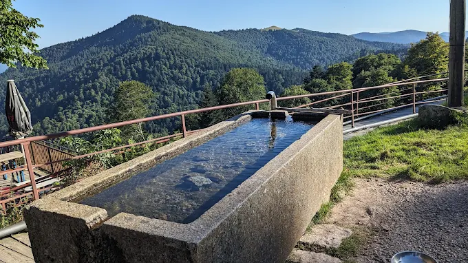 Découverte de la Ferme Auberge Felsach : immersion gourmande et détente dans les Hautes-Vosges