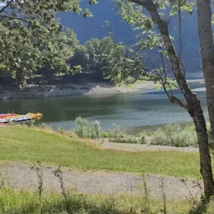 Location de Pédalo au lac de Kruth : découvrez un écrin de nature et de loisirs aquatiques