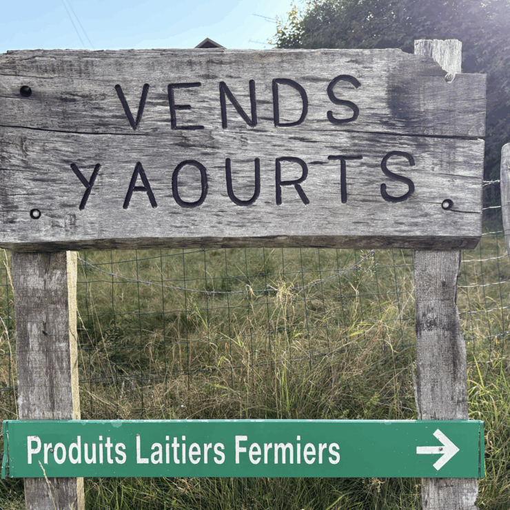 Ferme Lehmann à Fellering : découvrir des yaourts et produits laitiers locaux pleins d’authenticité