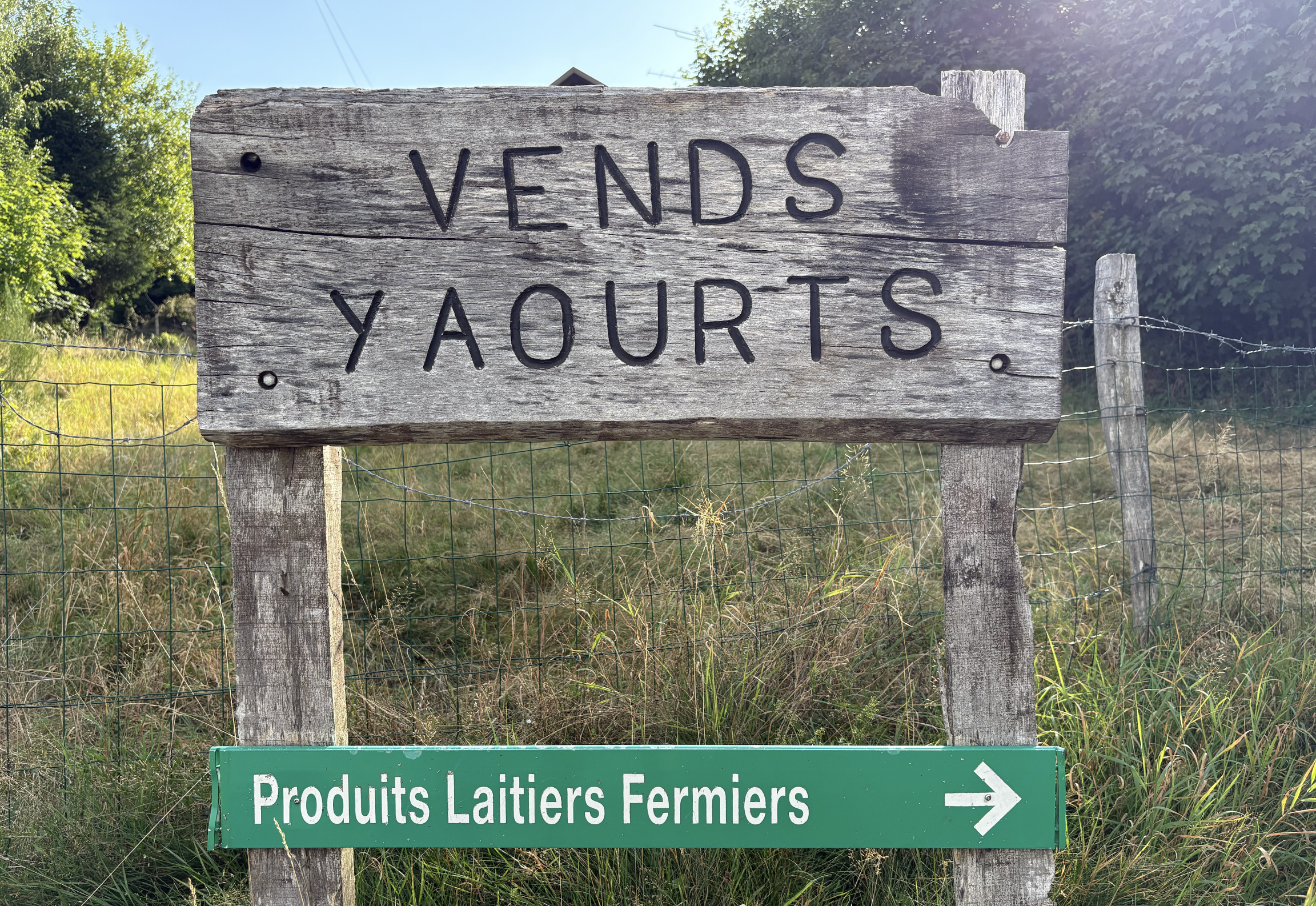 Ferme Lehmann à Fellering : découvrir des yaourts et produits laitiers locaux pleins d’authenticité